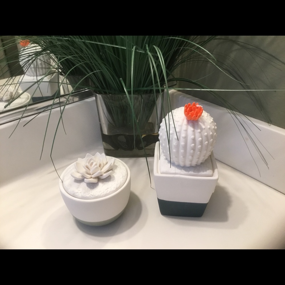 Set 2 Decorative Succulent